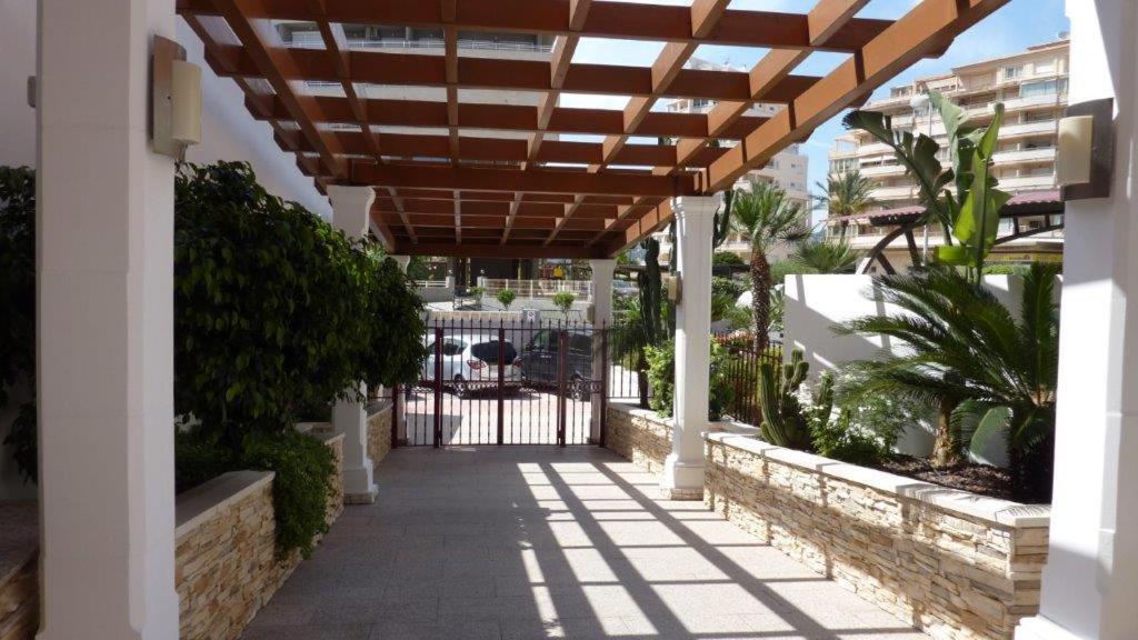 Apartment Playa De Oro 17b Penon & Sea View Arenal